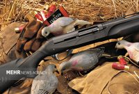 کشف سلاح شکاری غیرمجاز در منطقه شکار ممنوع کوه سفید دماوند