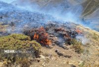 آتش‌سوزی در مراتع روستای هویر دماوند پس از ساعت‌ها تلاش خاموش شد